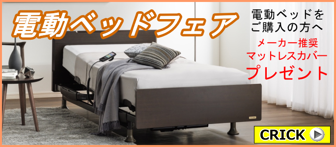�Ƌ�V���[�W���p���E�d���x�b�h�t�F�A